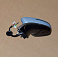 ������� ������� ���� �����_����_2